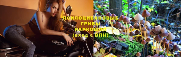 марки lsd Балабаново